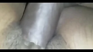 Saturday night beaver